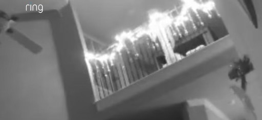 An image of the apparition was caught on the home security camera.