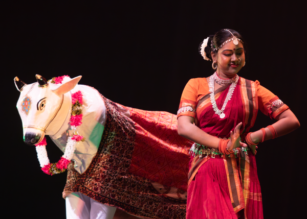 Sophomore Srija Nallala hides underneath the mask of a calf and blanket for one of the scenes during the Kalyana Srinivasm dance drama performance.