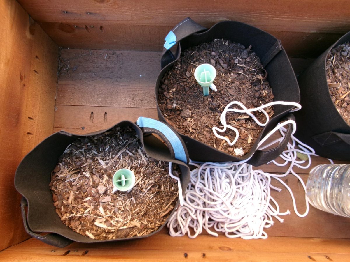H.E.A.T. Club's freshly planted seeds.